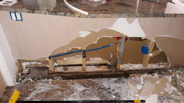 Best Ceiling water damage repair  in Reform, AL