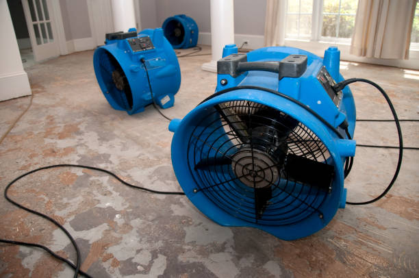 Best Carpet water damage restoration  in Reform, AL