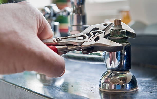 Best Water damage contractors near me  in Reform, AL