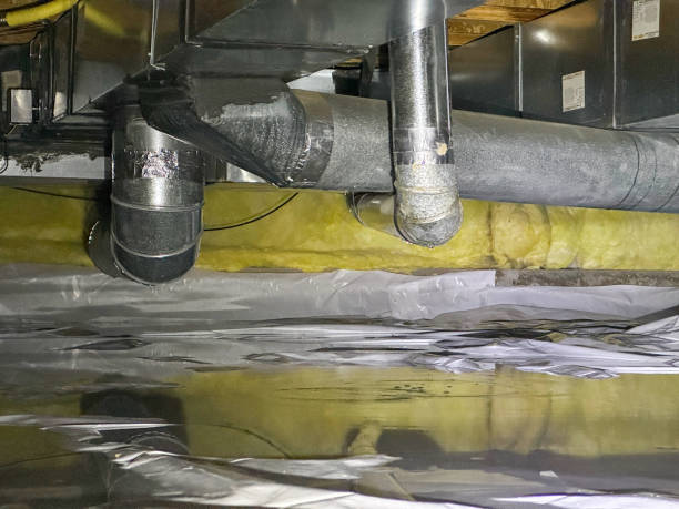 Best Water damage restoration near me  in Reform, AL