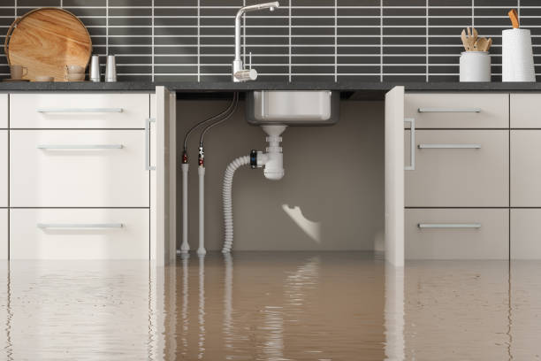 Best Flood damage cleanup  in Reform, AL