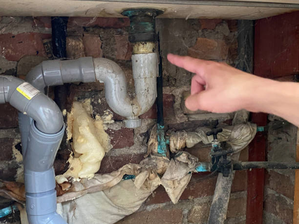Best Sewage cleanup and water damage restoration  in Reform, AL